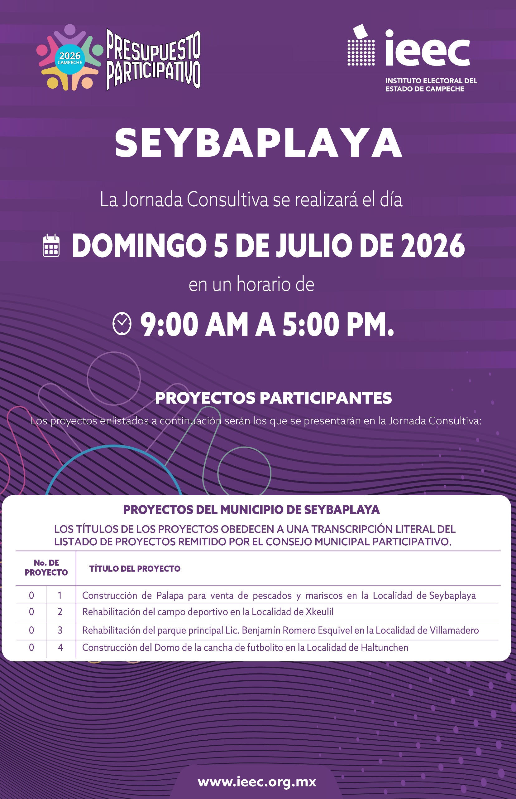 Infografía 8